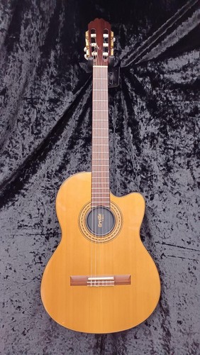 Guitare électrique acoustique