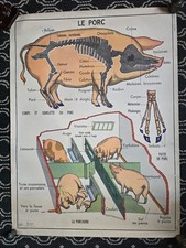 Affiche tableau scolaire