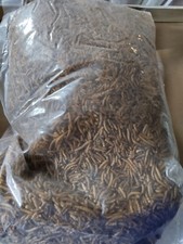 5Kg de vers de farine