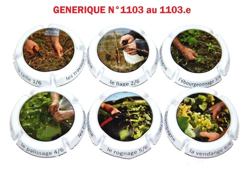 Série capsules de - capsules,