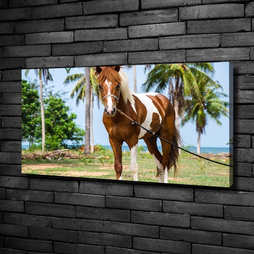 Tulup tableaux sur - tulup,