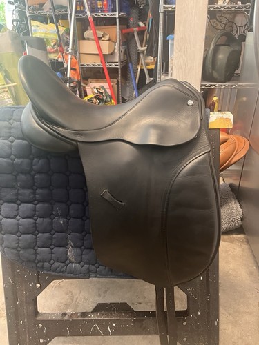 County warmblood narrow - warmblood, 16.5