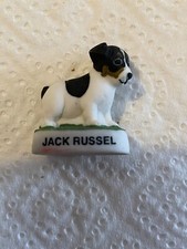 Fève - Les Chiots (2016) - Jack Russel