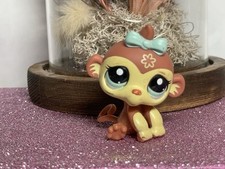 🌸Petshop singe Capucin