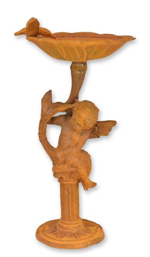 Bain oiseaux fonte - bain,
