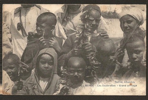 Maroc carte postale - -,