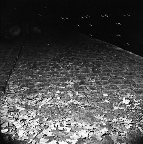 Paysage urbain pavés paris - paysage,