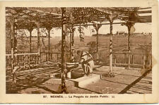 MOROCCO MOROCCO MEKNES 87 la pergola du jardin public