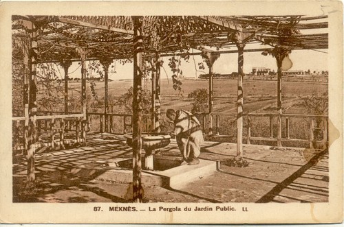 Maroc morocco meknes - morocco, 87