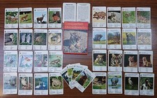 Quartet D'Animaux Ravensburger