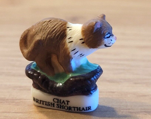 Fève chat british shorthair - -,