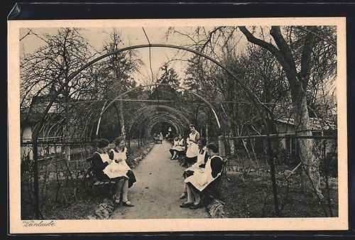 Carte postale heidingsfeld - carte,