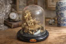 Cloche sous verre décor