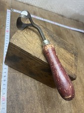 Rainette marquage Forestier