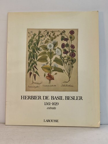 Herbier basil besler - basil,