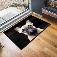 Tapis D'Intérieur Pour Chiot