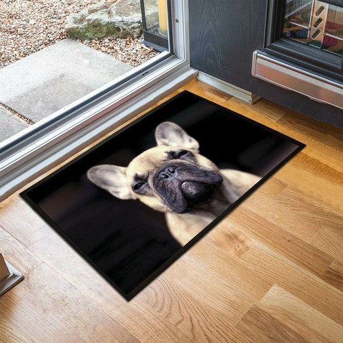 Tapis intérieur pour chiot - d'intérieur,