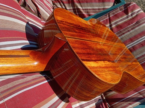 Francisco navarro guitar 2004 - navarro,