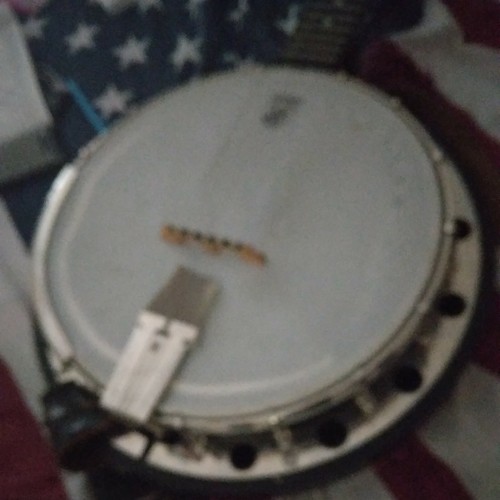 Banjo cordes deering - banjo, 5