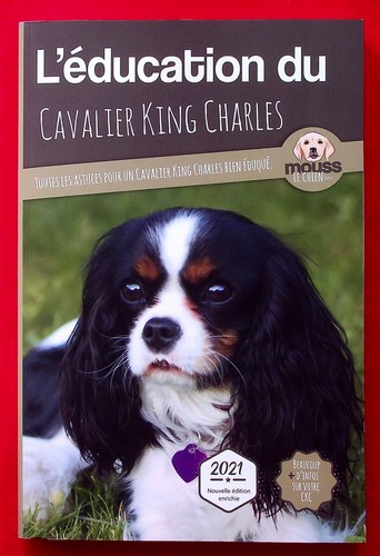 Education cavalier king - du,