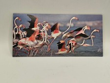 Nestlé MERVEILLES DU MONDE