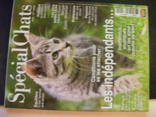Revue spécial chats - revue,