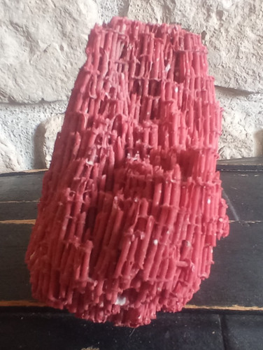 Corail rouge en forme - , de