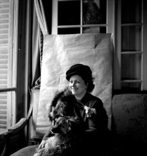 Portrait Woman Sitting Stole Fur Dog - Antique Photo Negative Year. 1950
