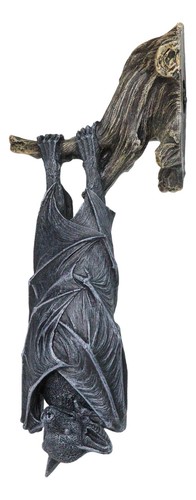 Nocturnal sleeping bat wrapped - nocturnal,