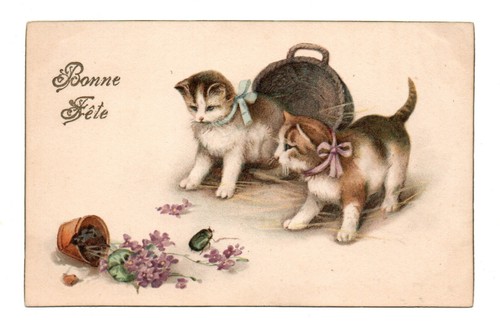 Cpa 7052 chats chatons - cpa,