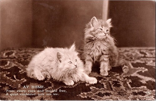Carte postale rppc photo - postale,