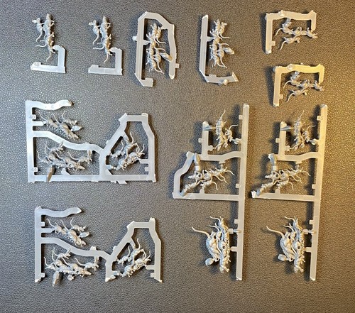 Corpse rats skaven - corpse, city
