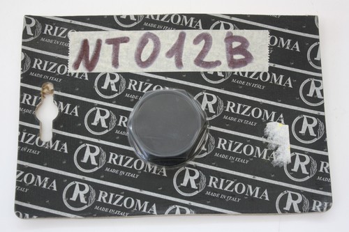 Dado direction rizoma - dado,