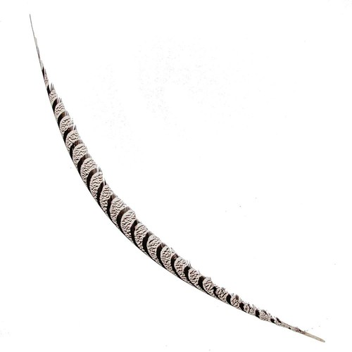 Plume gouttière faisan - gouttière,