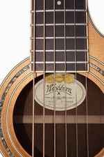 Washburn WCG18CE