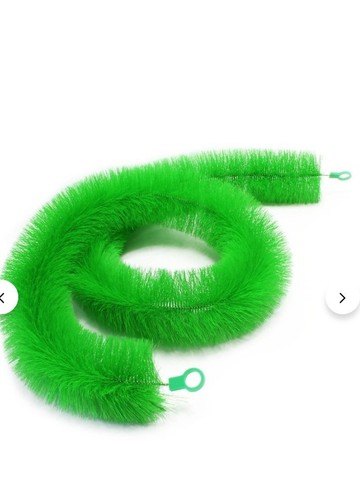 Brosse fraie carpe koi - carpe,