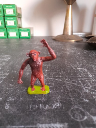 Singe cofalu - singe,