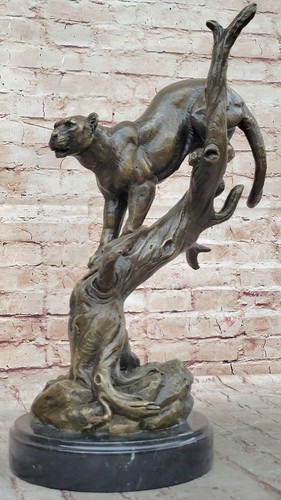 Large african mountain lion - mountain,