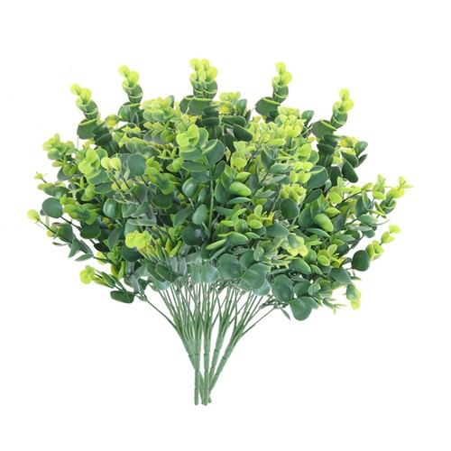 6pc simulation eucalyptus - ,