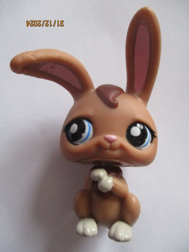 Petshop lapin garenne - petshop,