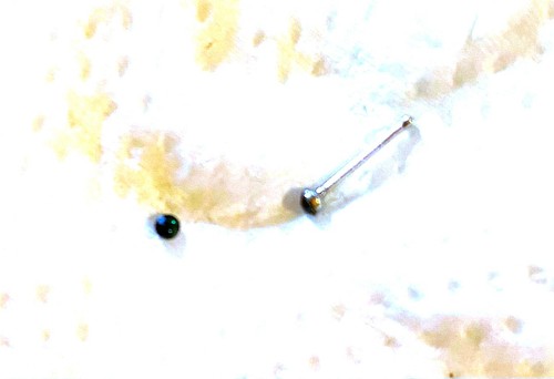 Piercing droit nez - nez,
