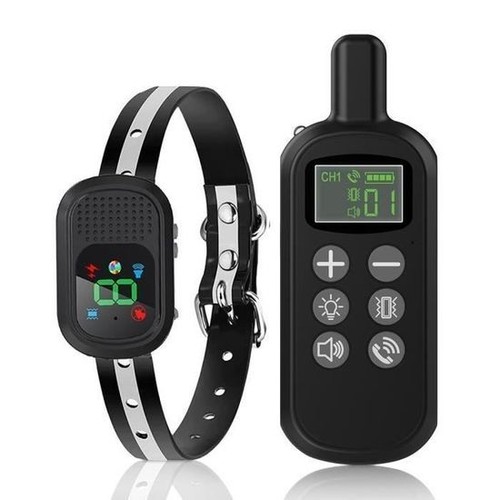 Collier dressage pour chien - de,