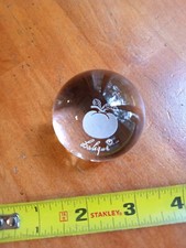 Authentic Rare LALIQUE Floral Apple Pomme Clear Crystal Paperweight 