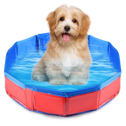Piscine pliable pour - pliable,