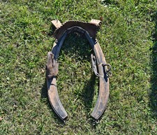 Harnais collier de Cheval