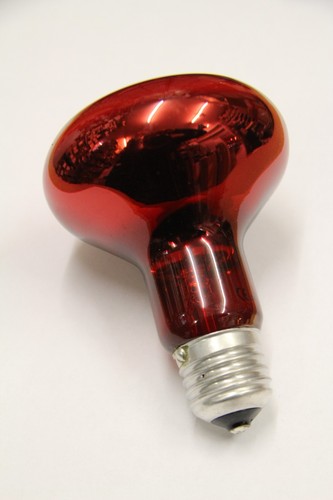 Lampe infrarouge red - red, r80