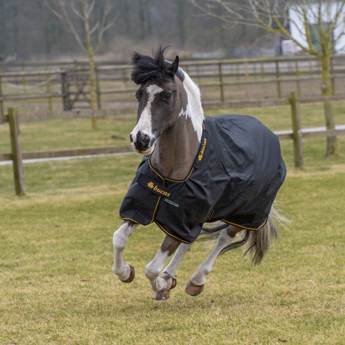Bucas irish turnout light - turnout,