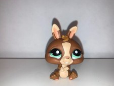 Authentic Littlest Pet Shop