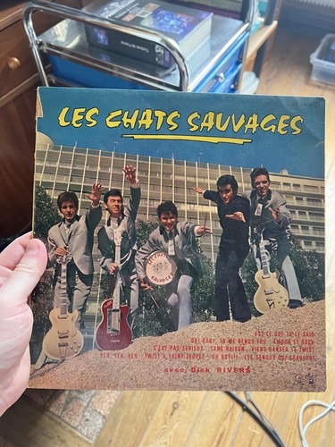 Disque vinyle les - vinyle,
