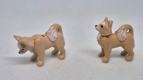 Lot chiens spitz - chiens, marrons